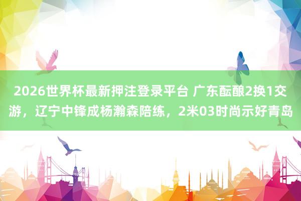2026世界杯最新押注登录平台 广东酝酿2换1交游，辽宁中锋成杨瀚森陪练，2米03时尚示好青岛