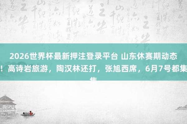 2026世界杯最新押注登录平台 山东休赛期动态！高诗岩旅游，陶汉林还打，张旭西席，6月7号都集