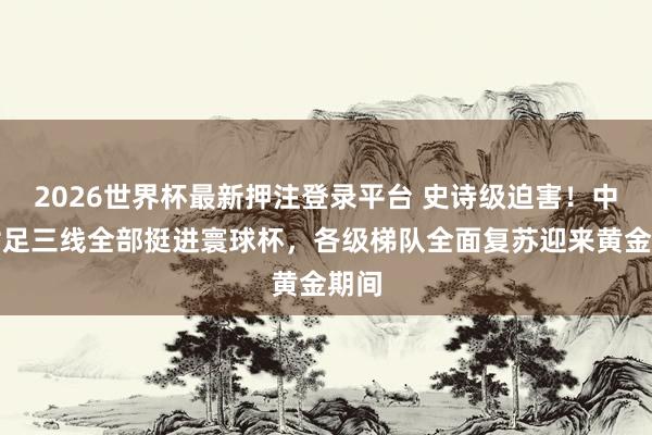2026世界杯最新押注登录平台 史诗级迫害！中国女足三线全部挺进寰球杯，各级梯队全面复苏迎来黄金期间
