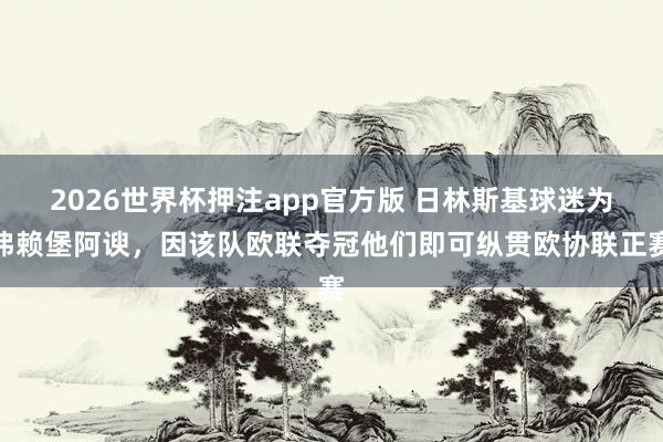 2026世界杯押注app官方版 日林斯基球迷为弗赖堡阿谀,因该队欧联夺冠他们即可纵贯欧协联正赛