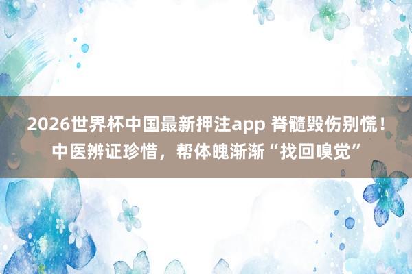 2026世界杯中国最新押注app 脊髓毁伤别慌!中医辨证珍惜,帮体魄渐渐“找回嗅觉”
