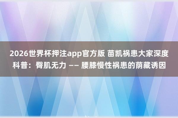 2026世界杯押注app官方版 苗凯祸患大家深度科普:臀肌无力 —— 腰膝慢性祸患的荫藏诱因