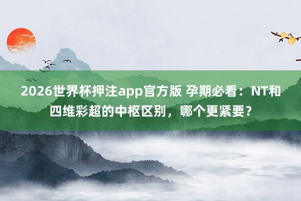 2026世界杯押注app官方版 孕期必看:NT和四维彩超的中枢区别,哪个更紧要?