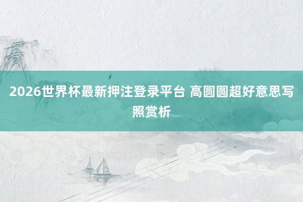 2026世界杯最新押注登录平台 高圆圆超好意思写照赏析