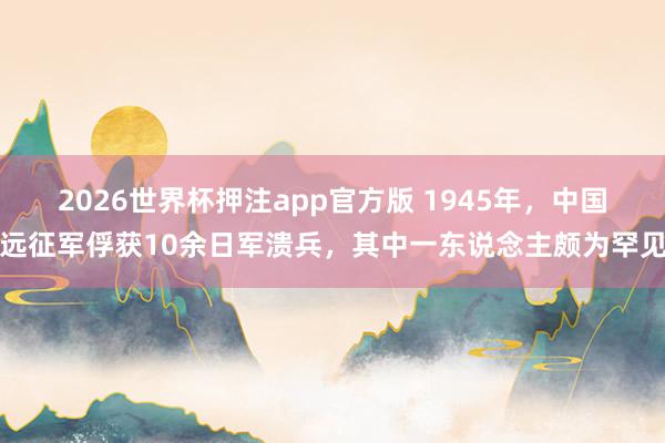 2026世界杯押注app官方版 1945年，中国远征军俘获10余日军溃兵，其中一东说念主颇为罕见
