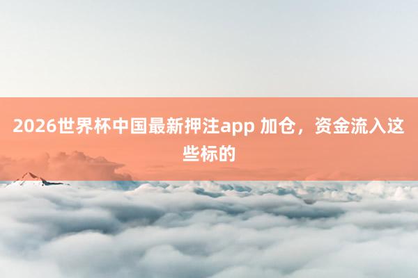 2026世界杯中国最新押注app 加仓，资金流入这些标的