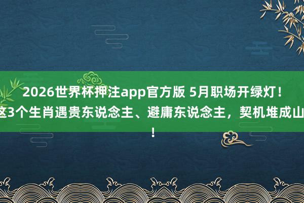 2026世界杯押注app官方版 5月职场开绿灯！这3个生肖遇贵东说念主、避庸东说念主，契机堆成山！