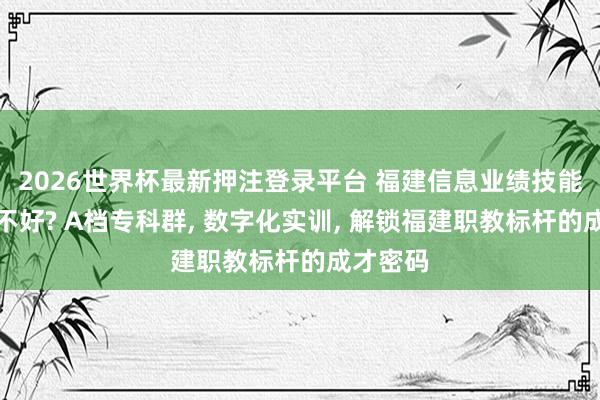 2026世界杯最新押注登录平台 福建信息业绩技能学院好不好? A档专科群, 数字化实训, 解锁福建职教标杆的成才密码