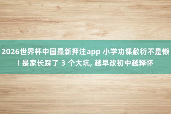 2026世界杯中国最新押注app 小学功课敷衍不是懒! 是家长踩了 3 个大坑, 越早改初中越释怀