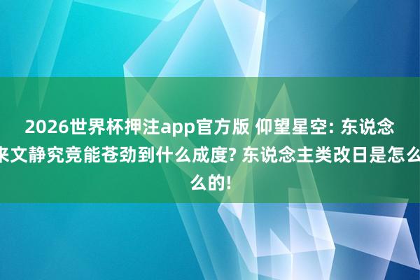 2026世界杯押注app官方版 仰望星空: 东说念主来文静究竞能苍劲到什么成度? 东说念主类改日是怎么的!