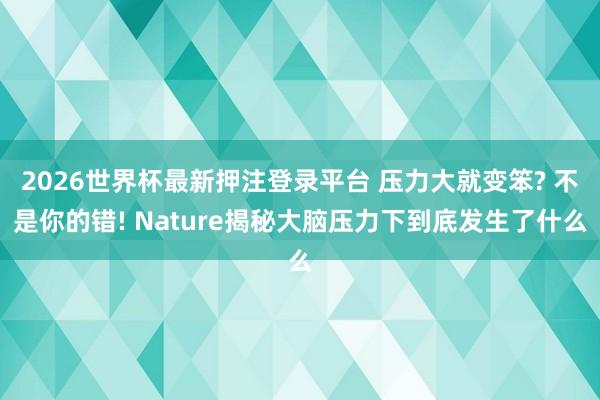 2026世界杯最新押注登录平台 压力大就变笨? 不是你的错! Nature揭秘大脑压力下到底发生了什么