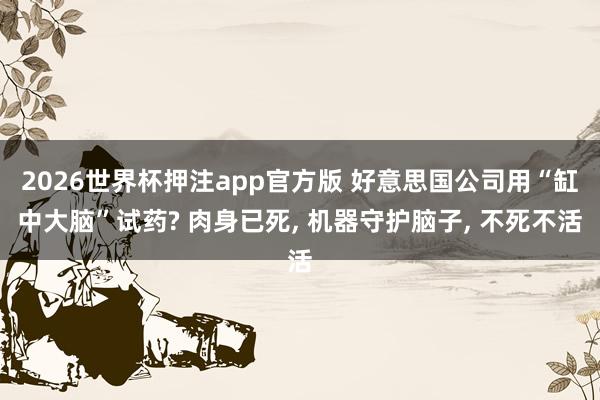 2026世界杯押注app官方版 好意思国公司用“缸中大脑”试药? 肉身已死, 机器守护脑子, 不死不活