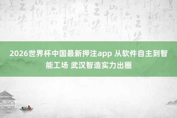 2026世界杯中国最新押注app 从软件自主到智能工场 武汉智造实力出圈
