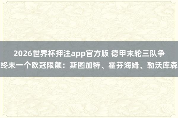 2026世界杯押注app官方版 德甲末轮三队争终末一个欧冠限额:斯图加特、霍芬海姆、勒沃库森
