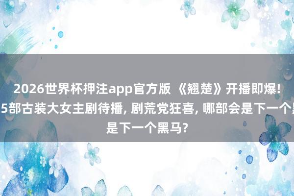 2026世界杯押注app官方版 《翘楚》开播即爆! 又有5部古装大女主剧待播， 剧荒党狂喜， 哪部会是下一个黑马?