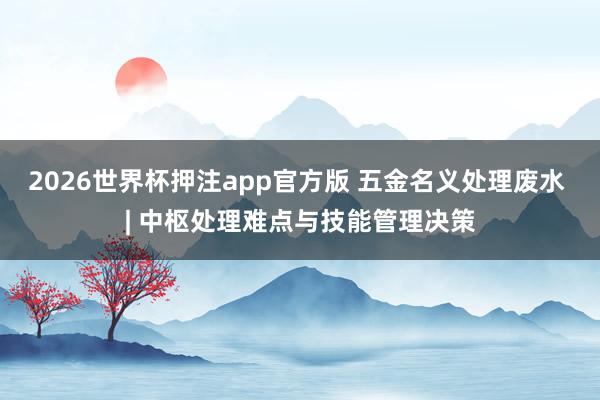 2026世界杯押注app官方版 五金名义处理废水 | 中枢处理难点与技能管理决策