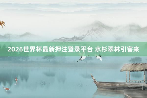2026世界杯最新押注登录平台 水杉翠林引客来