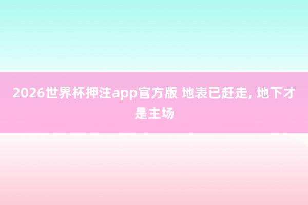 2026世界杯押注app官方版 地表已赶走, 地下才是主场