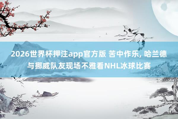 2026世界杯押注app官方版 苦中作乐， 哈兰德与挪威队友现场不雅看NHL冰球比赛