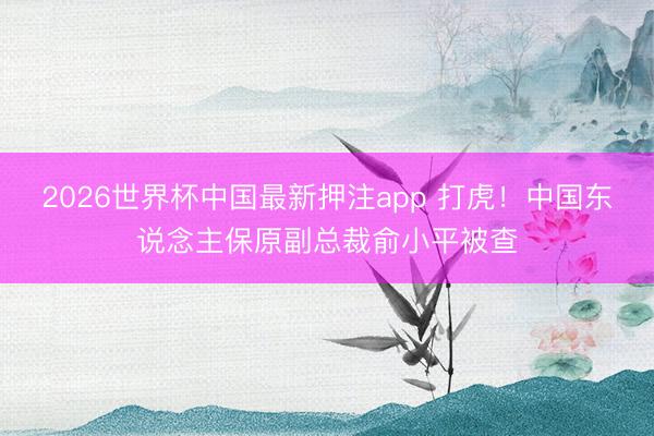 2026世界杯中国最新押注app 打虎!中国东说念主保原副总裁俞小平被查