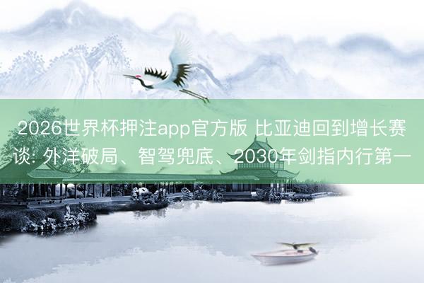 2026世界杯押注app官方版 比亚迪回到增长赛谈: 外洋破局、智驾兜底、2030年剑指内行第一