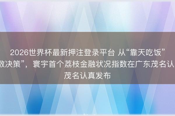2026世界杯最新押注登录平台 从“靠天吃饭”到“看数决策”，寰宇首个荔枝金融状况指数在广东茂名认真发布