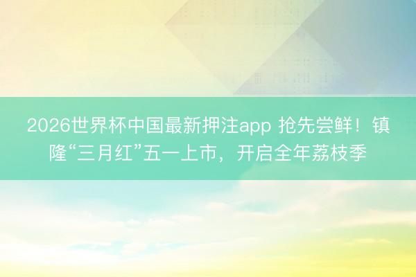 2026世界杯中国最新押注app 抢先尝鲜！镇隆“三月红”五一上市，开启全年荔枝季