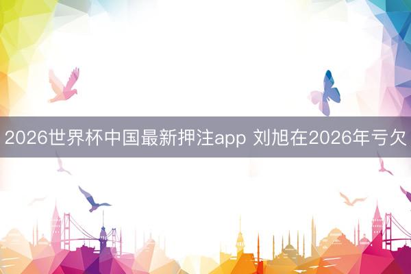2026世界杯中国最新押注app 刘旭在2026年亏欠