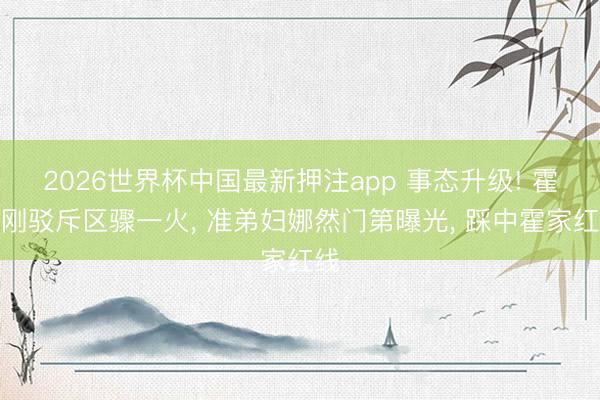 2026世界杯中国最新押注app 事态升级! 霍启刚驳斥区骤一火, 准弟妇娜然门第曝光, 踩中霍家红线
